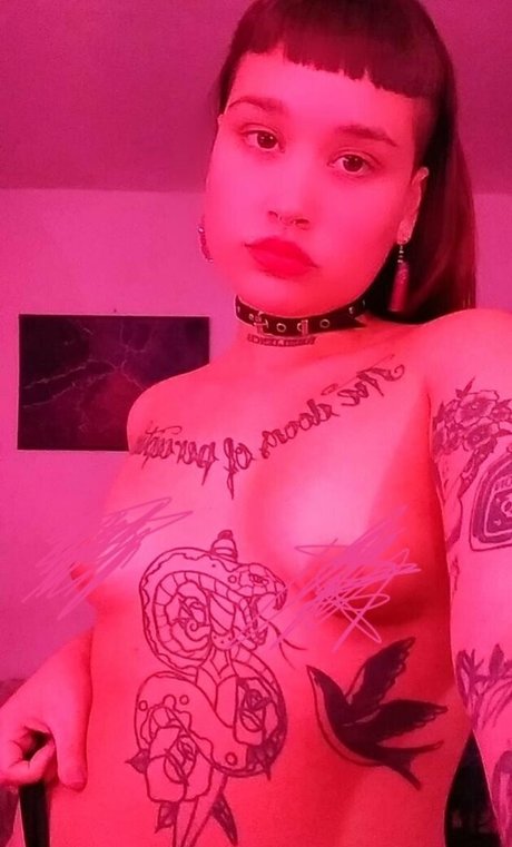 la sistta sexy top bild