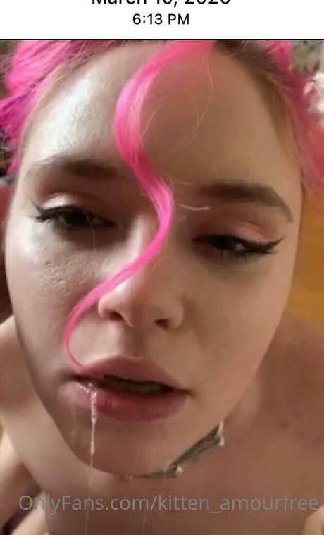 kitten amourfree perfekte hübsche bild