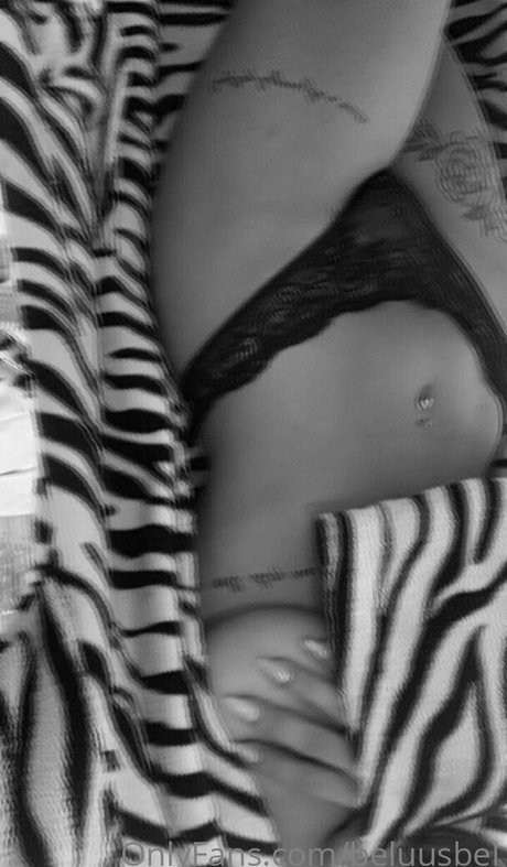 beluusbel top kostenlose bilder