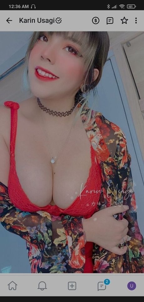 Karin Usagi erwachsene beste galerien