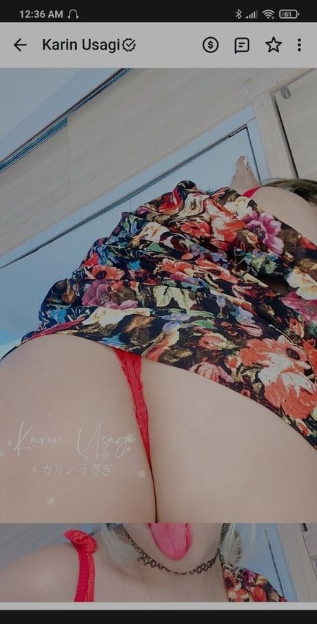 Karin Usagi nette foto