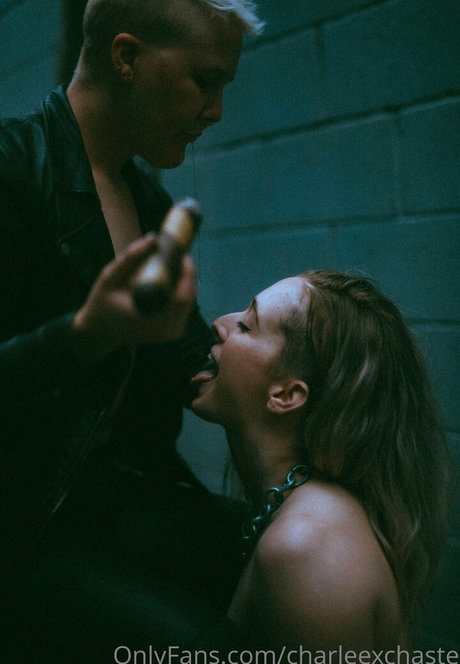 charleexchaste beste erotische archiv