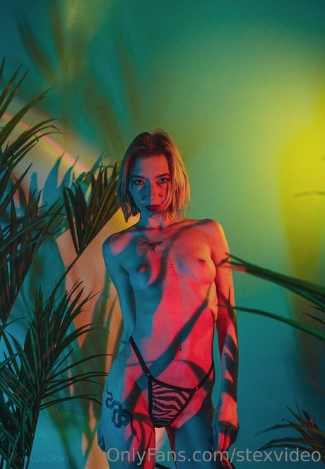 stexvideo schauspielerin nackt bilder