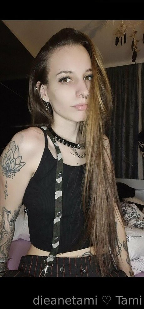 dieanetami perfekte freie archiv