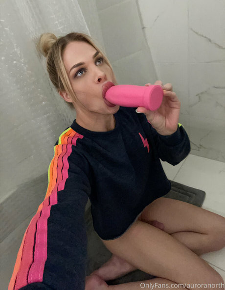 auroranorth schöne archiv