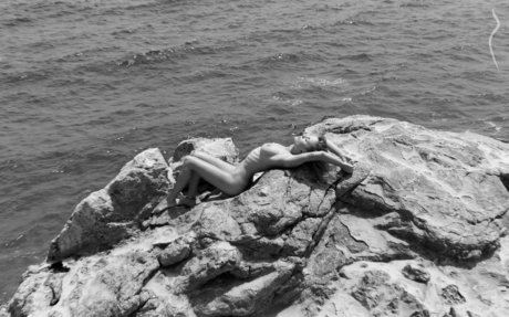 Harleyquinn2002 beste top bild