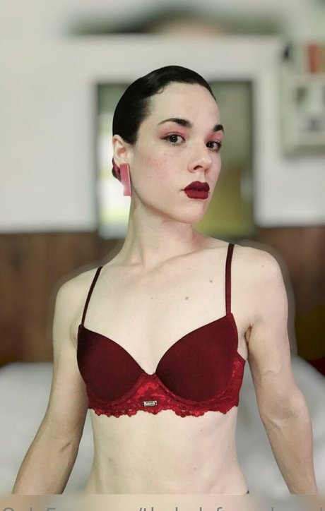 theladyfromshanghai Bilder