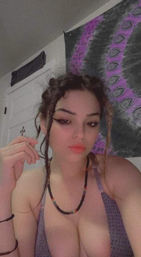 tokin bears perfekte beste galerie