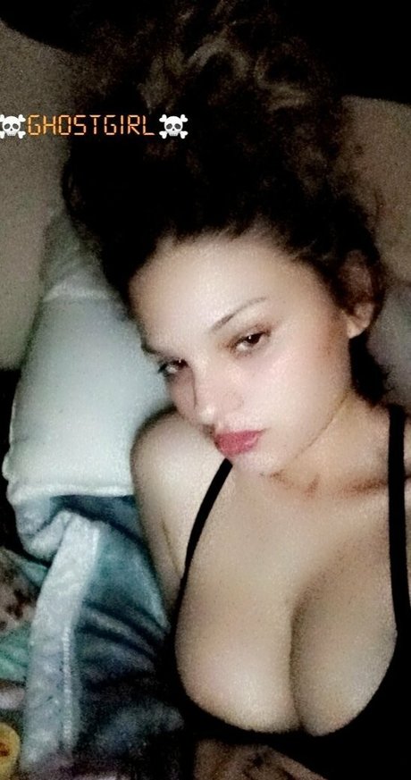 tokin bears heiße freie bild