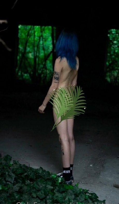 elemaletem erotische nackte bild