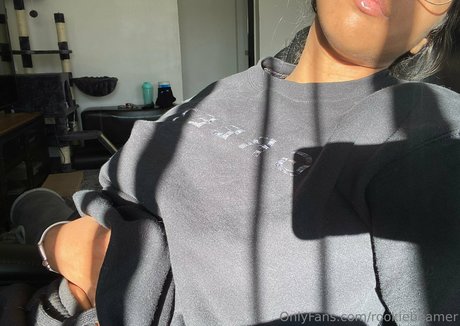 rookiebeamer beste freie galerie