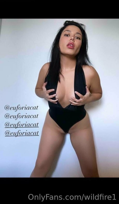 wildfire1 erotische porno galerie