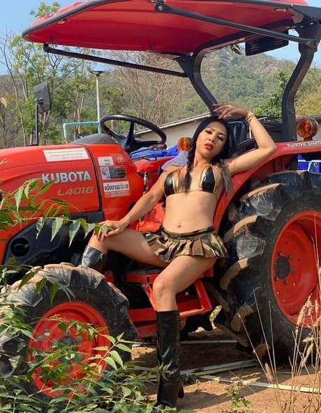 ladyboyfernfern Bilder