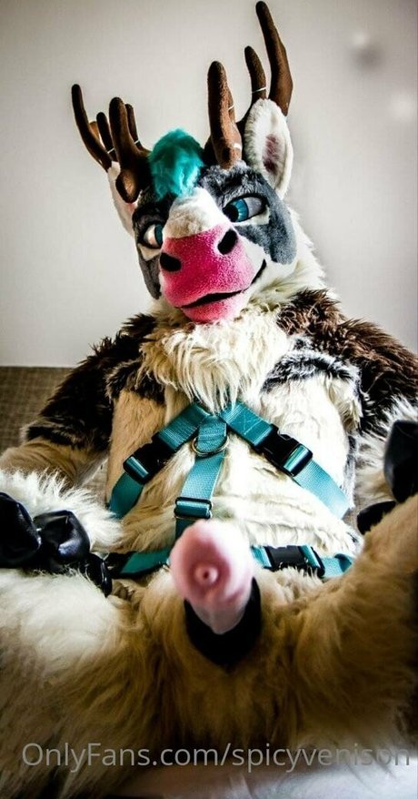 spicyvenison sexy nette galerie