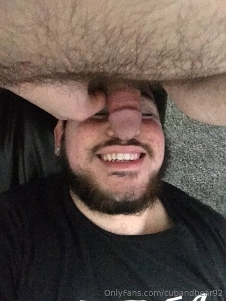 cubandbear92 kunst kostenlose bild