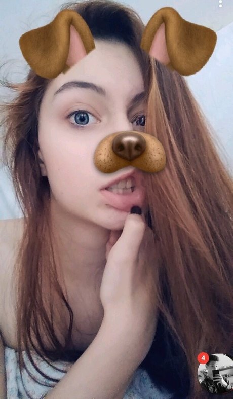 Slovakia Fckmeat top erwachsene foto