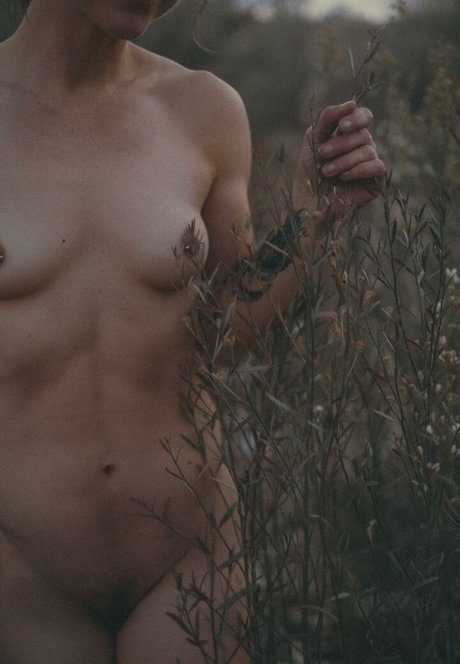 Ever Curious freie schöne fotos