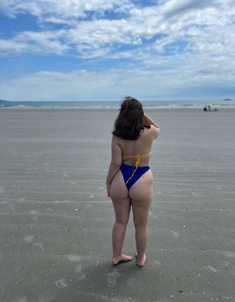 Pawgalert Profilbild