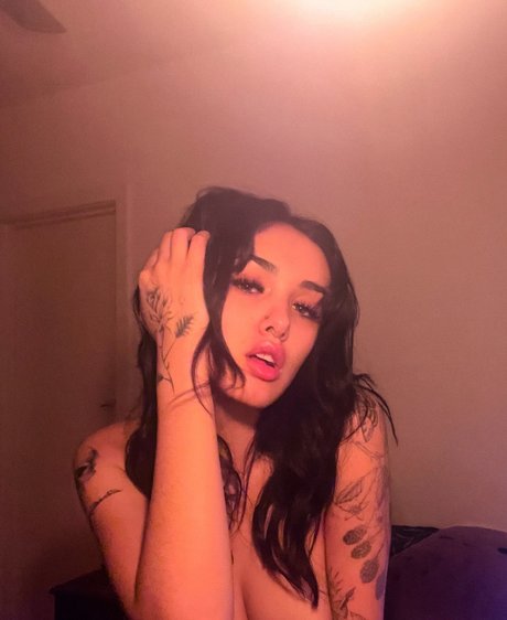 Akasha Collins Profilbild