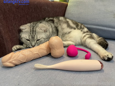 bella 420tw perfekte erwachsene bilder