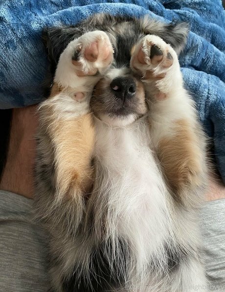 Kayleighbabyyy kunst xxx bilder