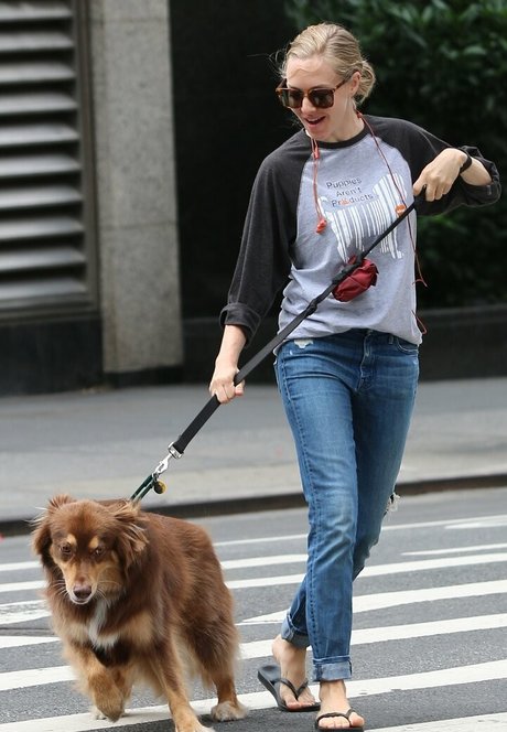 Amanda Seyfried beste freie bilder