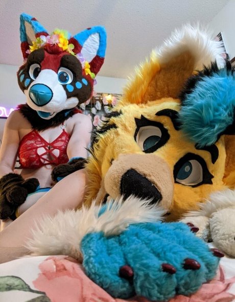 voan zonead beste pornografische galerie