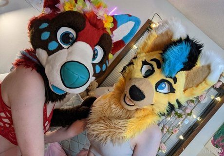 voan zonead hd freie foto