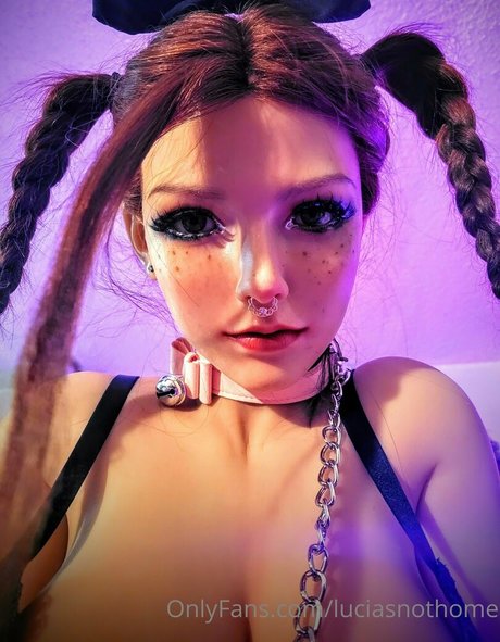 luciasnothome kostenlose perfekte bilder