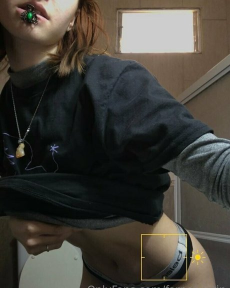 farner latin hd erwachsene bild