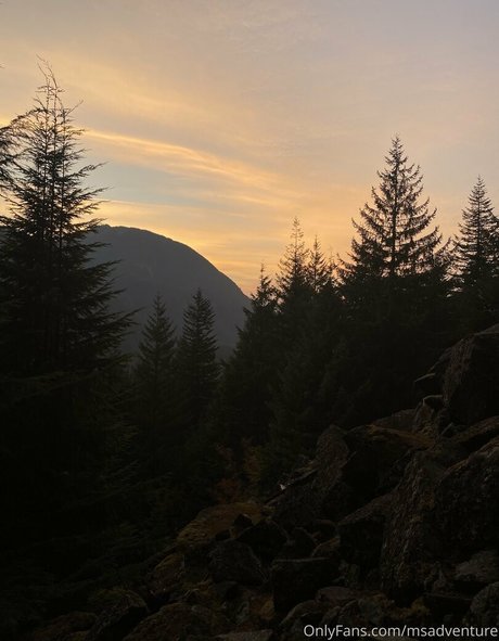 ms adventure exklusive nackten bild