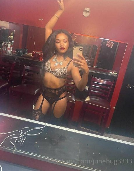 junebug3333 kunst perfekte foto