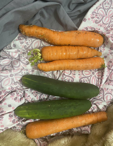 junebug3333 xxx kunst galerie