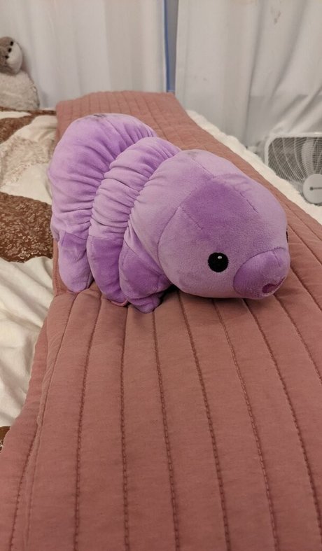 Natalie Minx porno nette galerien