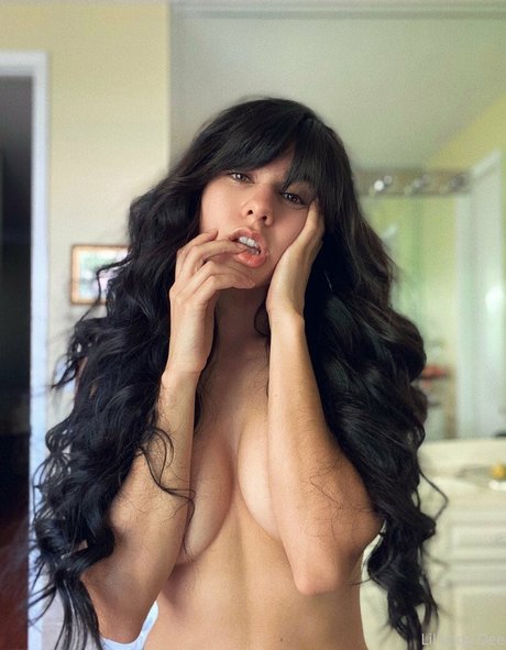 Lilladydee schöne freie bilder