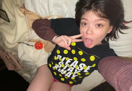 Lilac Lullaby Profilbild