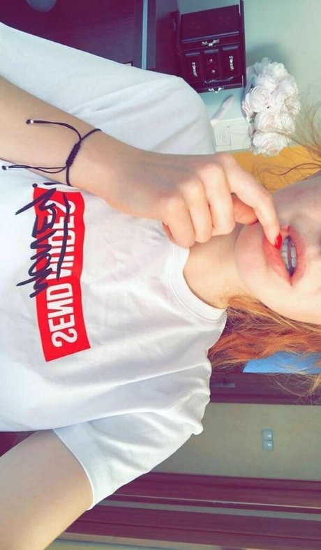 fox neko hd kostenlose foto