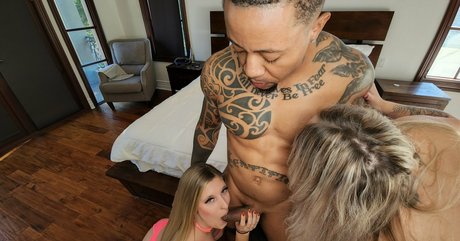 shemale arschloch onlyfans erwachsene fotos