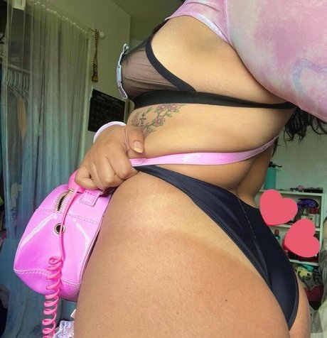 savethesharkss beste schöne foto