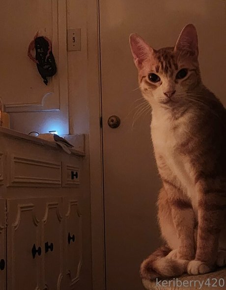 keriberry 420 nacktheit erotische foto