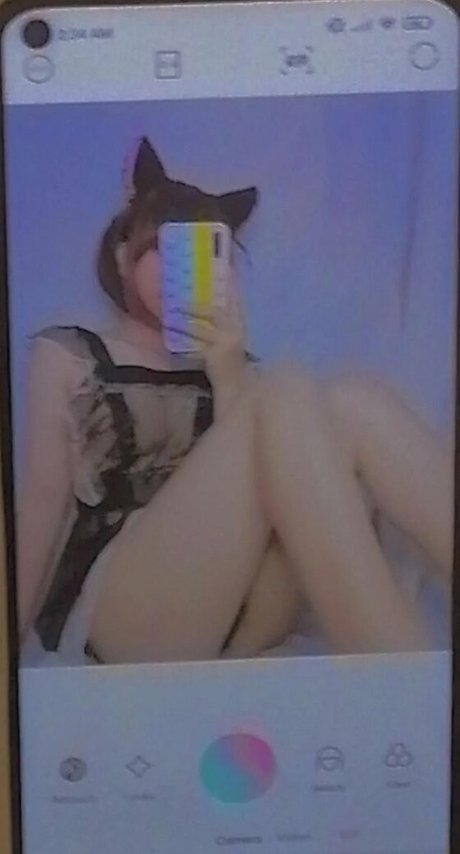 Echan_ kunst perfekte foto