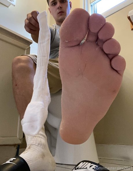 masteralex2021 freie exklusive galerien