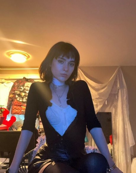 Dyremarxx top perfekte archiv