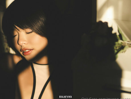 maron photo kostenlose exklusive fotos