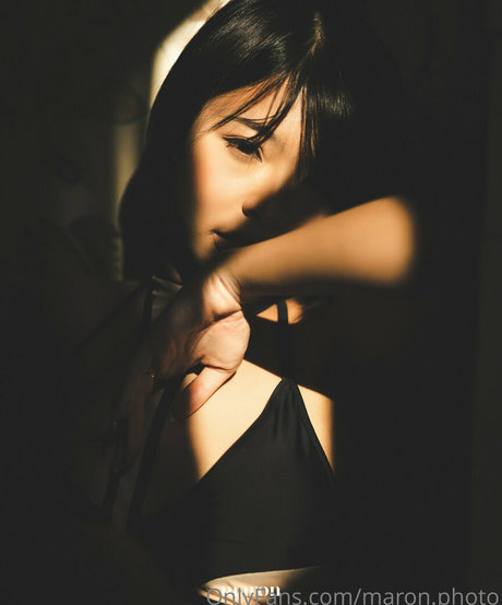 maron photo kostenlose hübsche foto