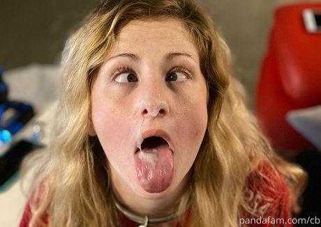 realdaddypanda kunst schöne bild