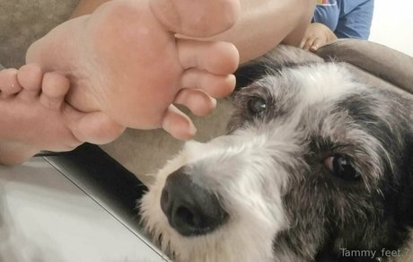 kelita val sexy kostenlose foto