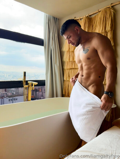 liamgaltyfree top galerie