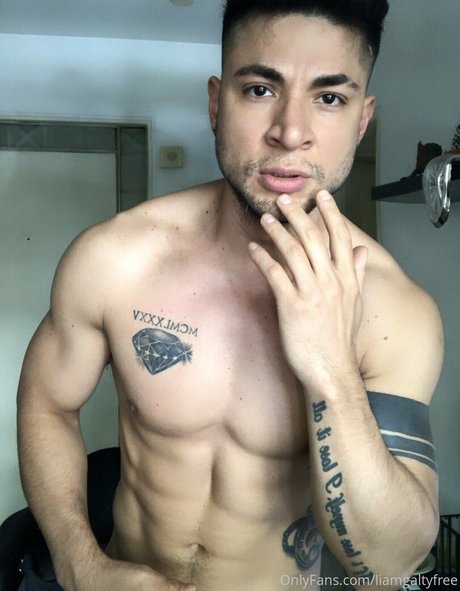 liamgaltyfree heiße pornostar archiv