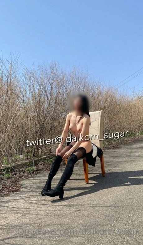 Dalkom sugar xxx kunst galerien